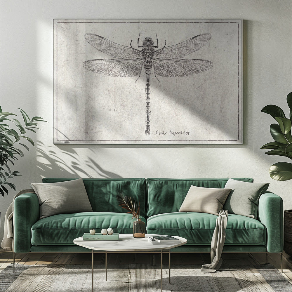 Majesty in Flight Anax Imperator | Canvas