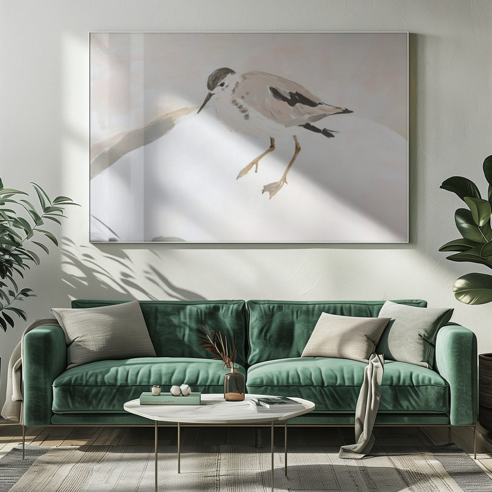 Cute Shorebird | Canvas
