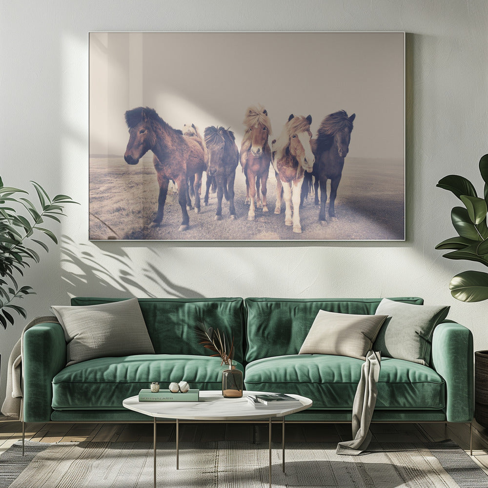 Horses | Canvas
