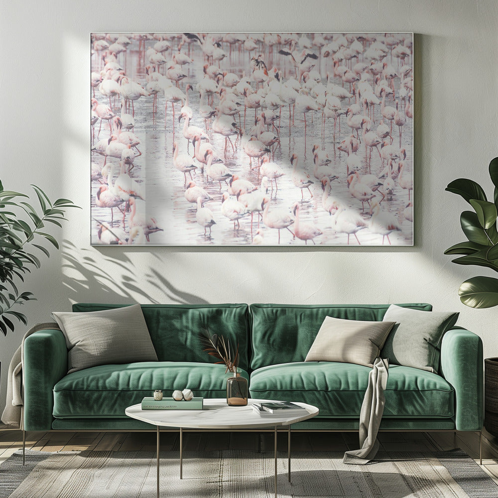 Flamingos | Canvas