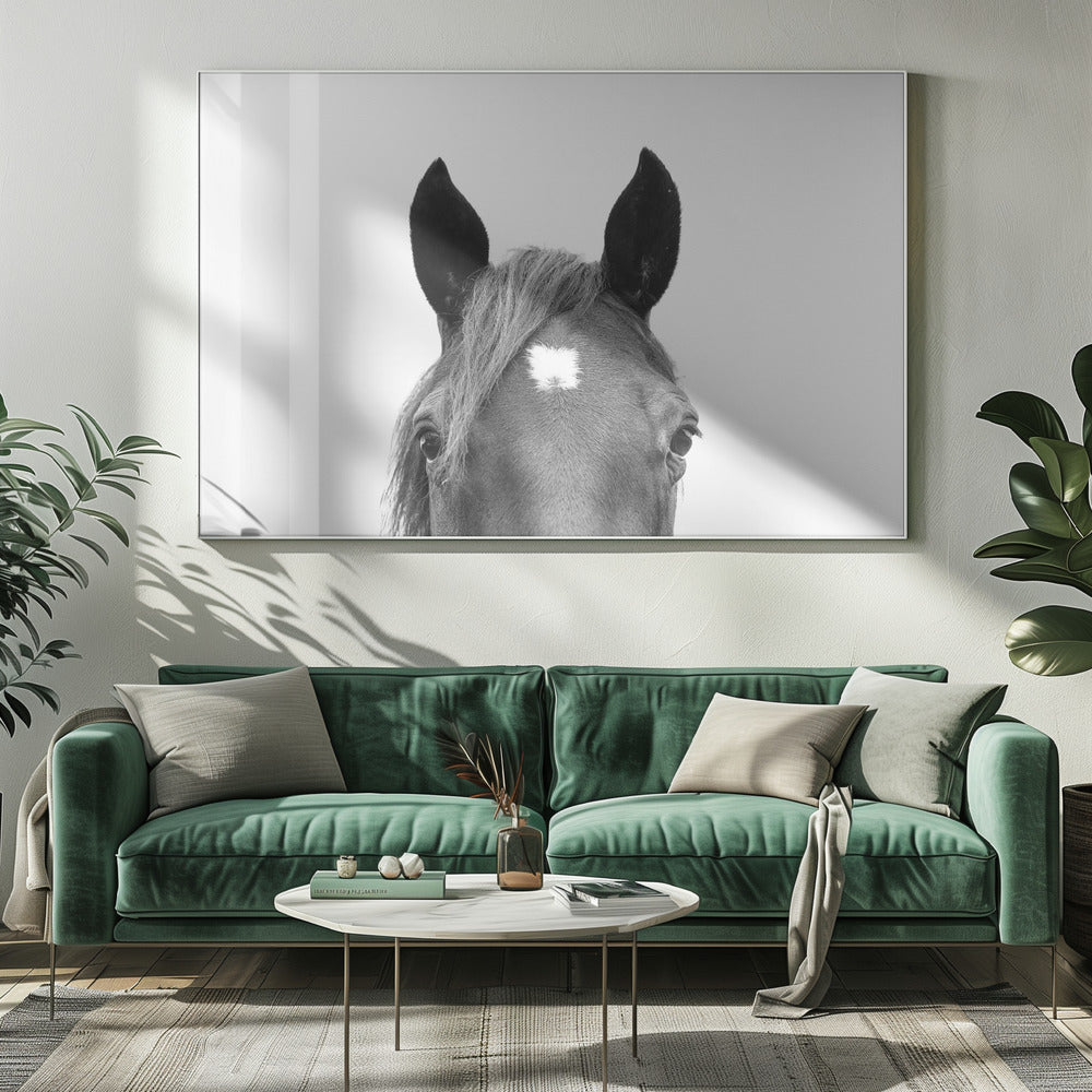 Peeking Horse | Canvas