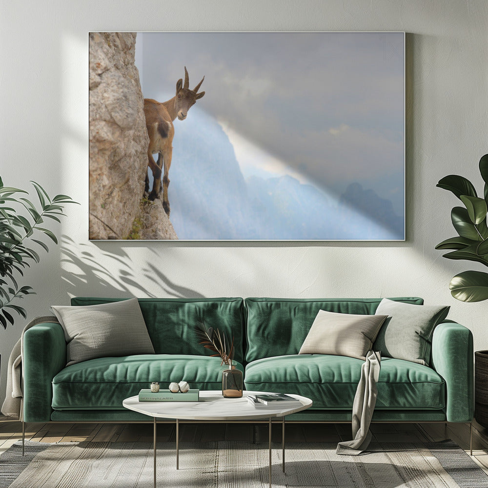 Suspense | Canvas