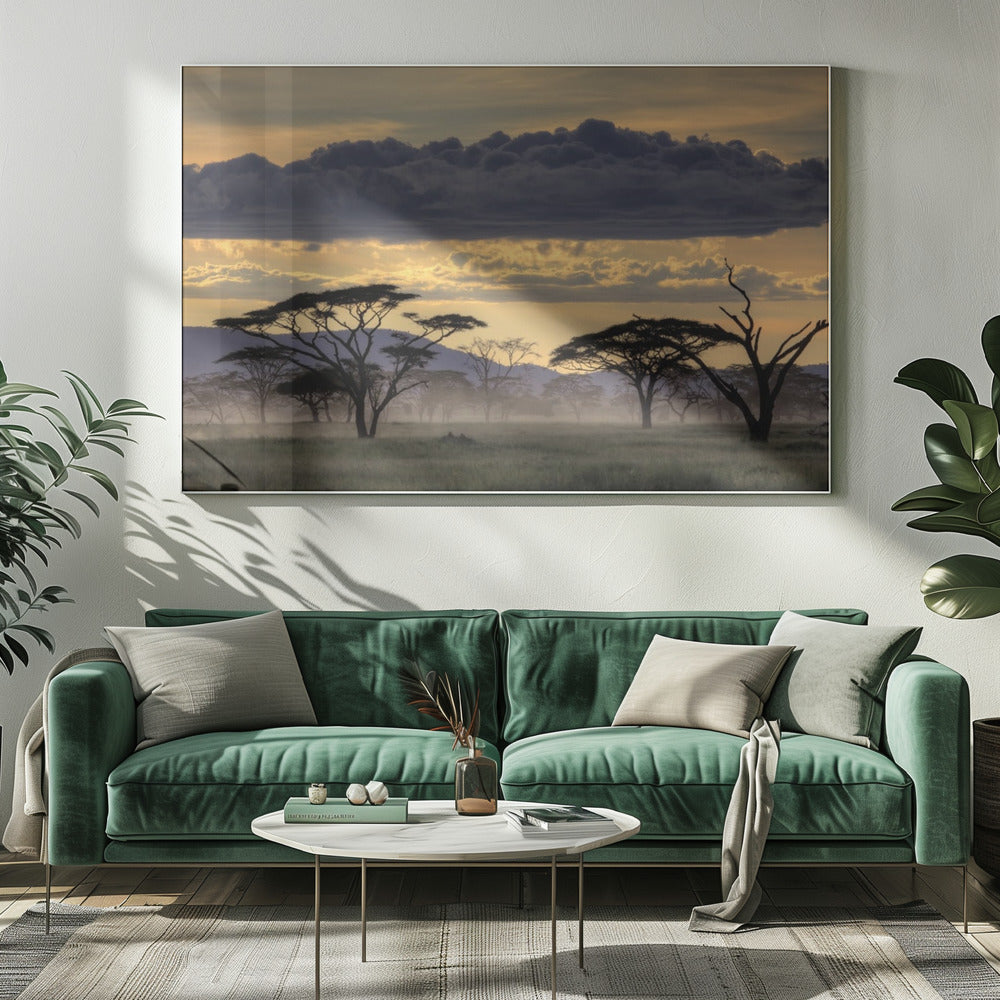 Good evening tanazania | Canvas