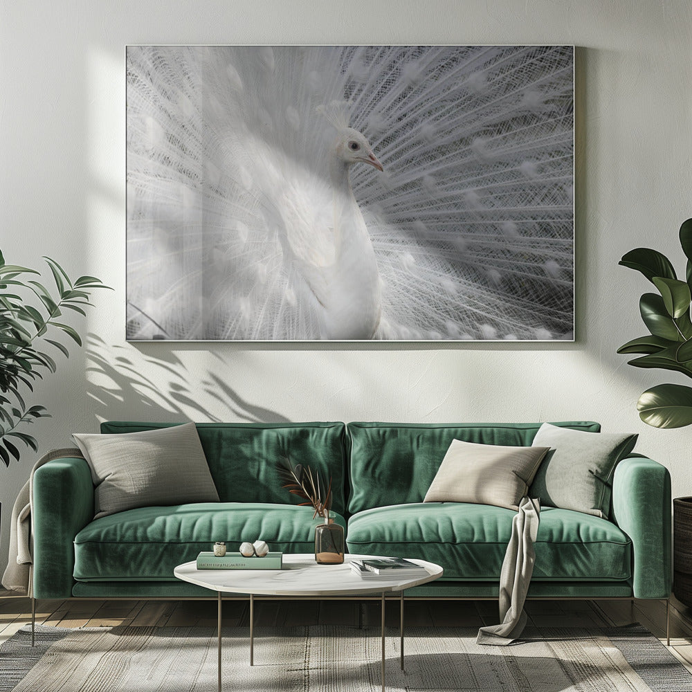 As white as snow | Canvas