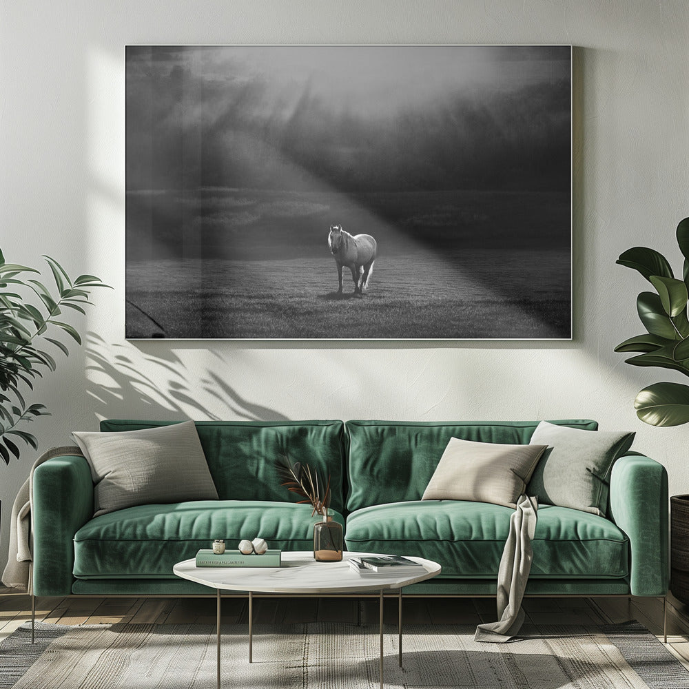 morning appearance | Canvas