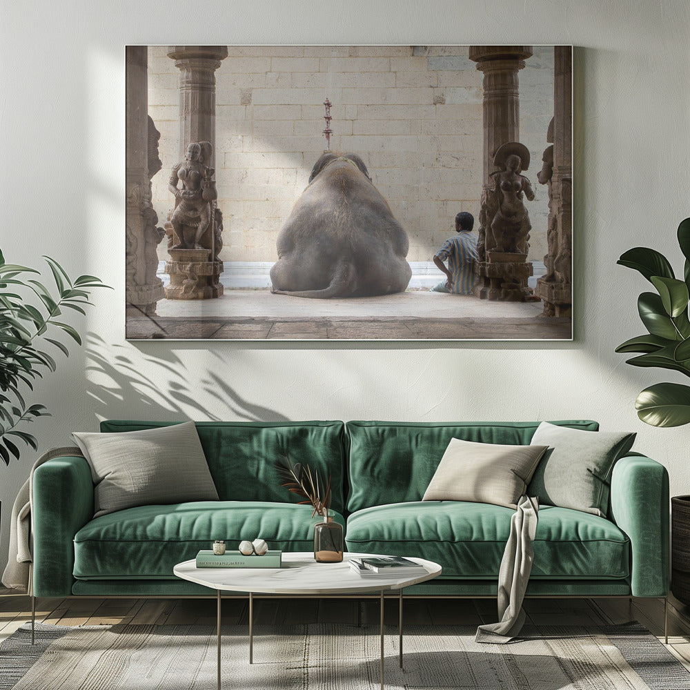 The Elephant & its Mahot | Canvas