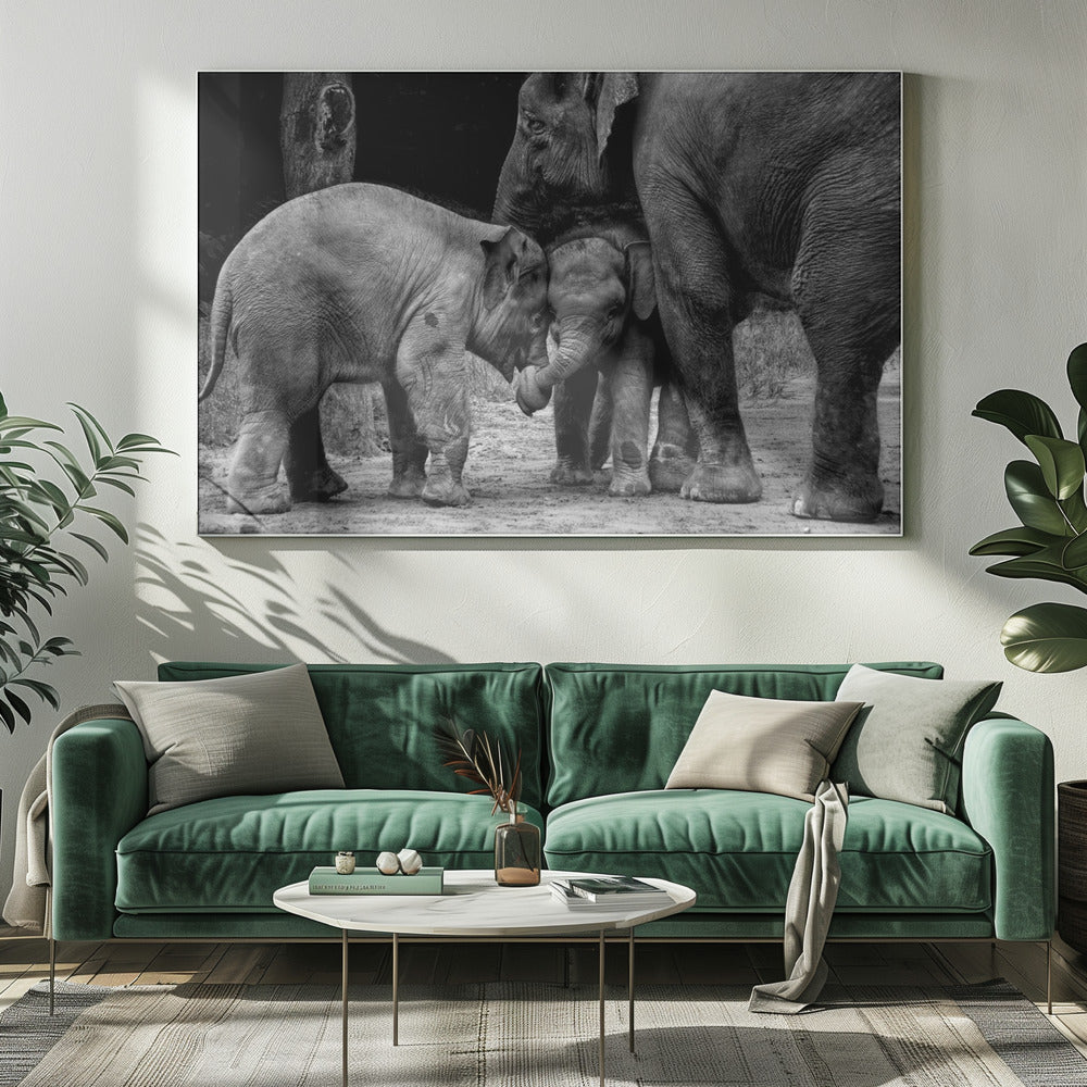 Friends Forever | Canvas