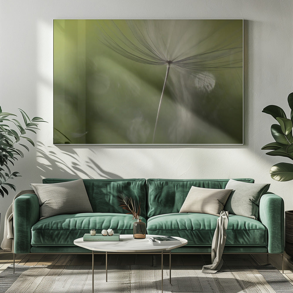 Shadows in the green | Canvas