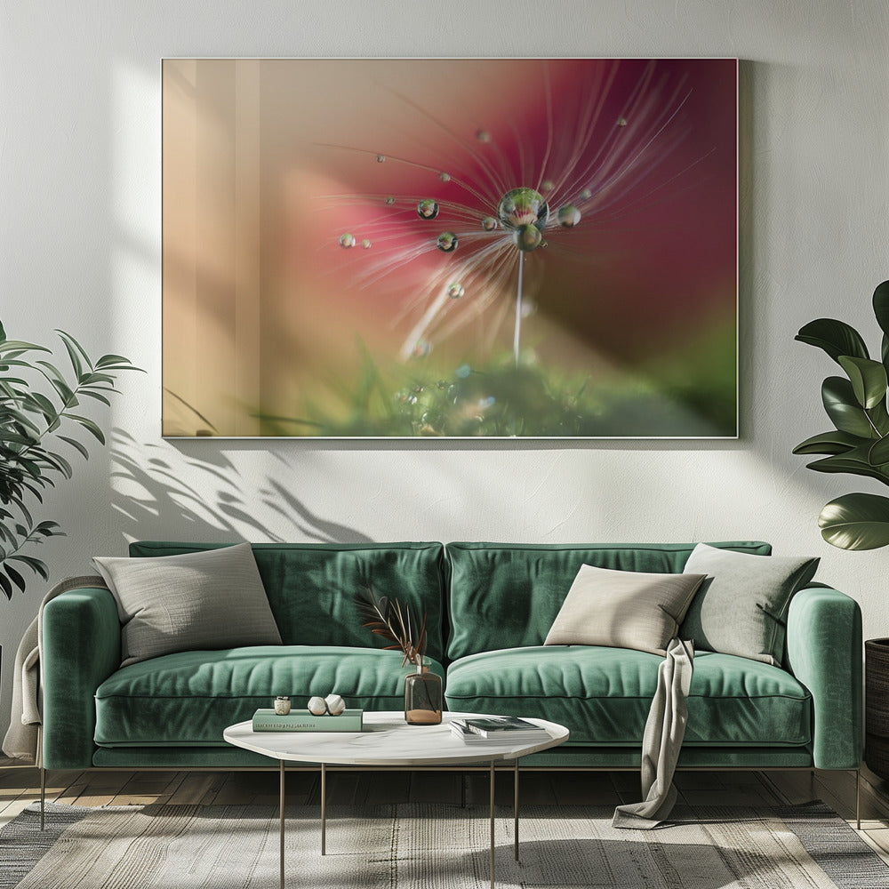 Red Morning | Canvas