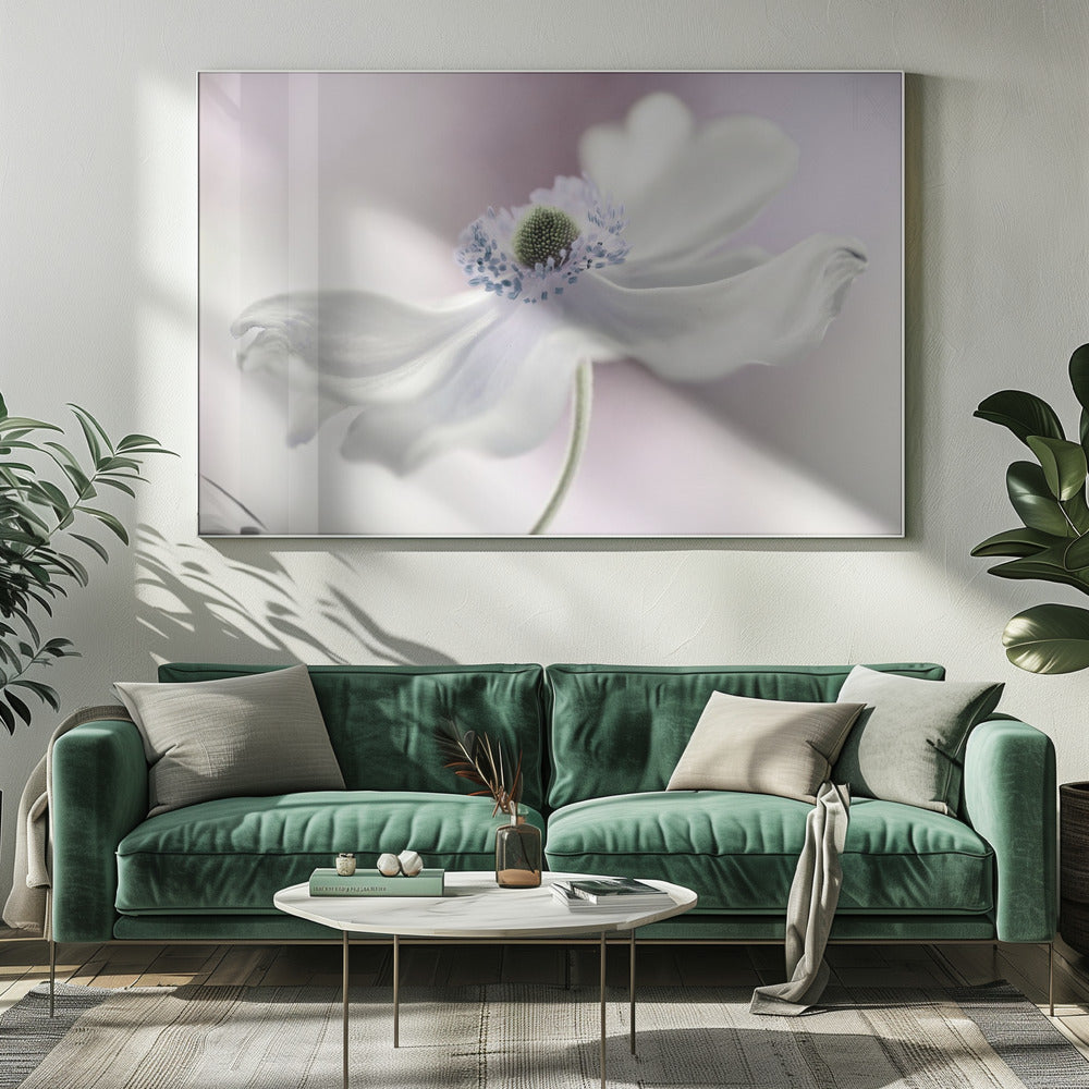 Anemone breeze | Canvas