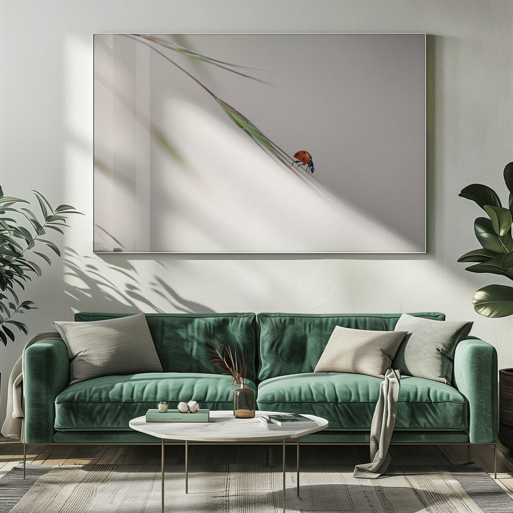 ladybug | Canvas