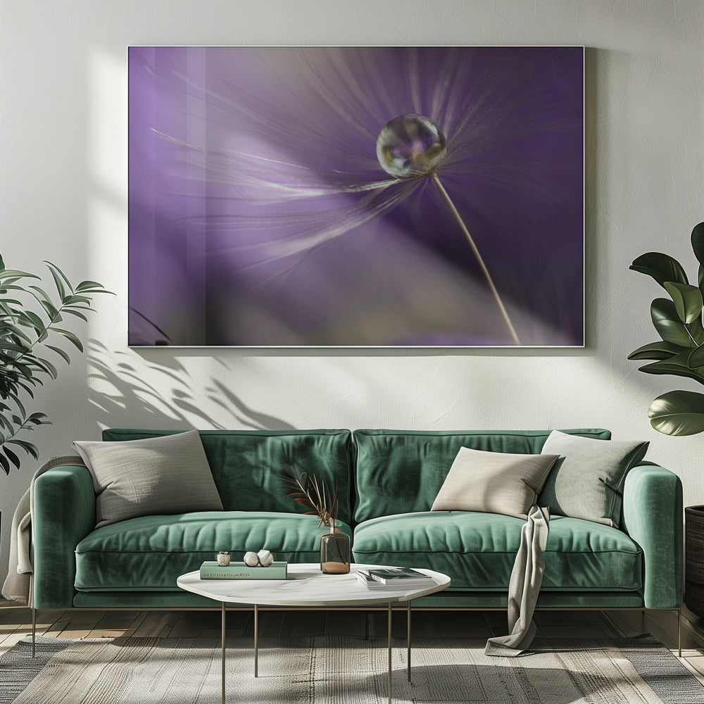 In shades of purple | Canvas