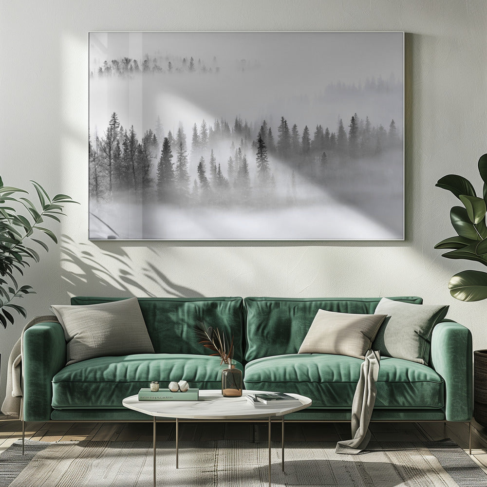 Foggy Forest | Canvas