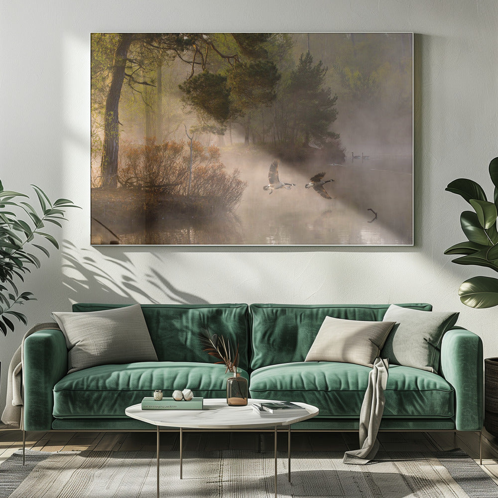 Goose fight | Canvas