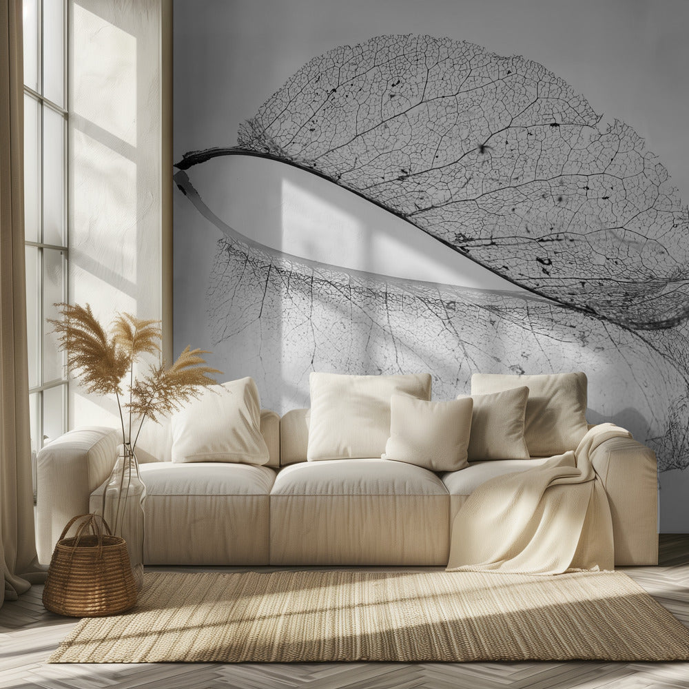 The old leaf | Wallpaper