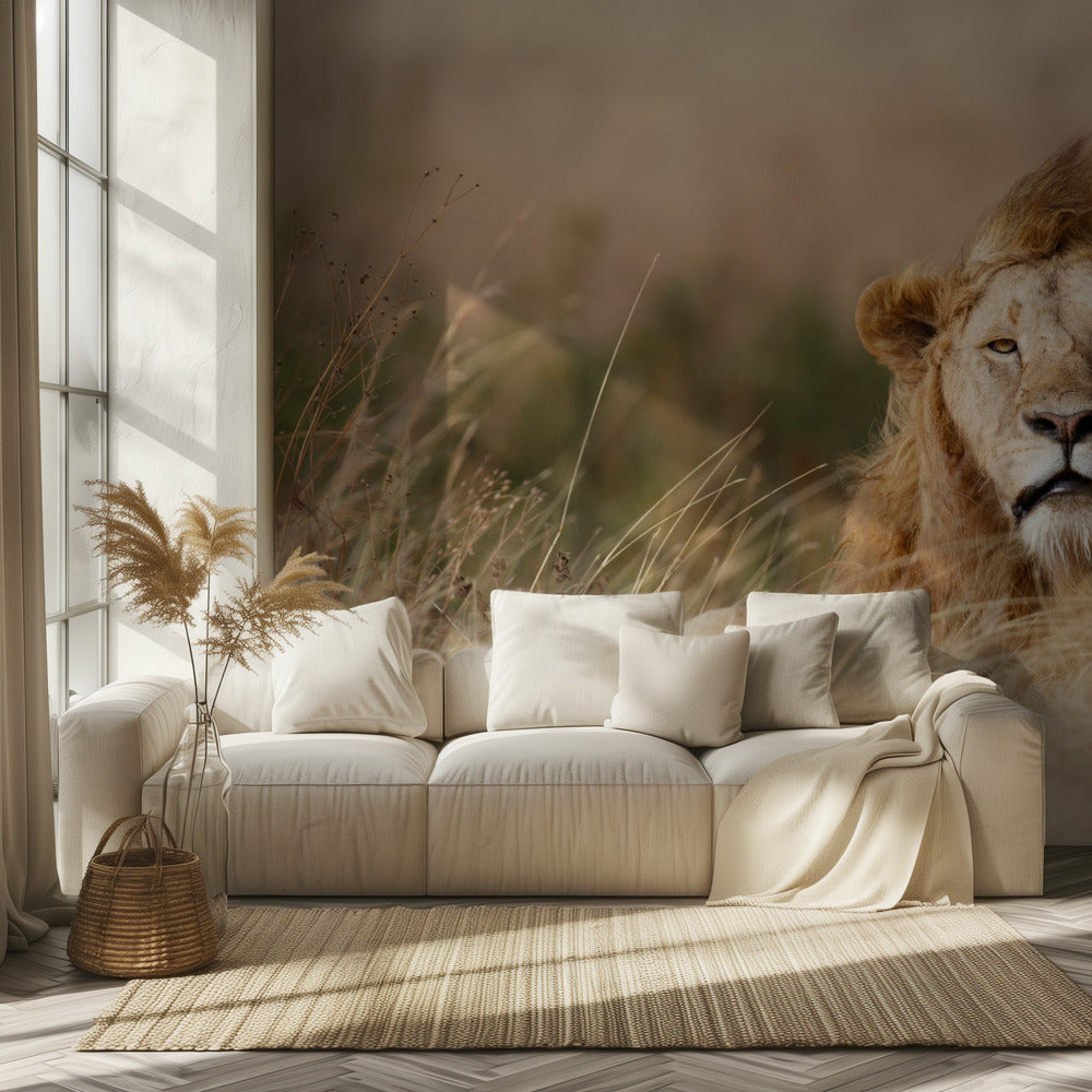 Handsome! | Wallpaper