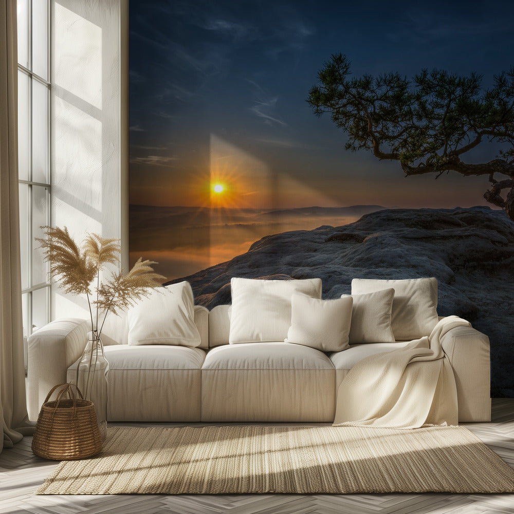 Old pine | Wallpaper