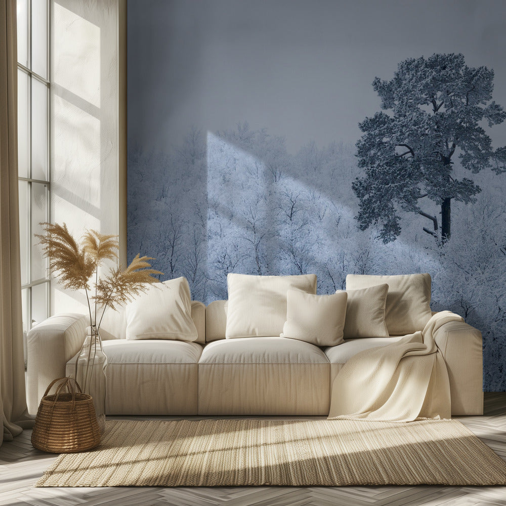 First snow | Wallpaper