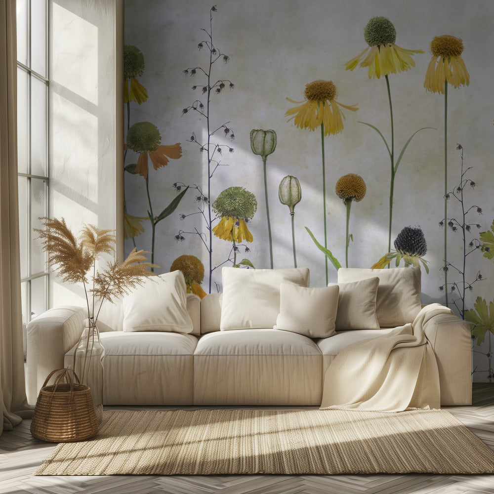 Helenium | Wallpaper