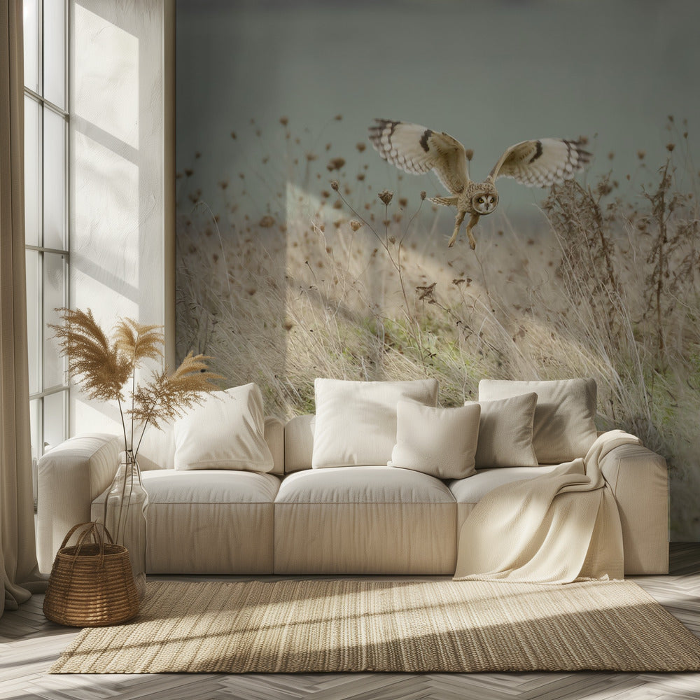 Hunting Short Eared Owl | Wallpaper