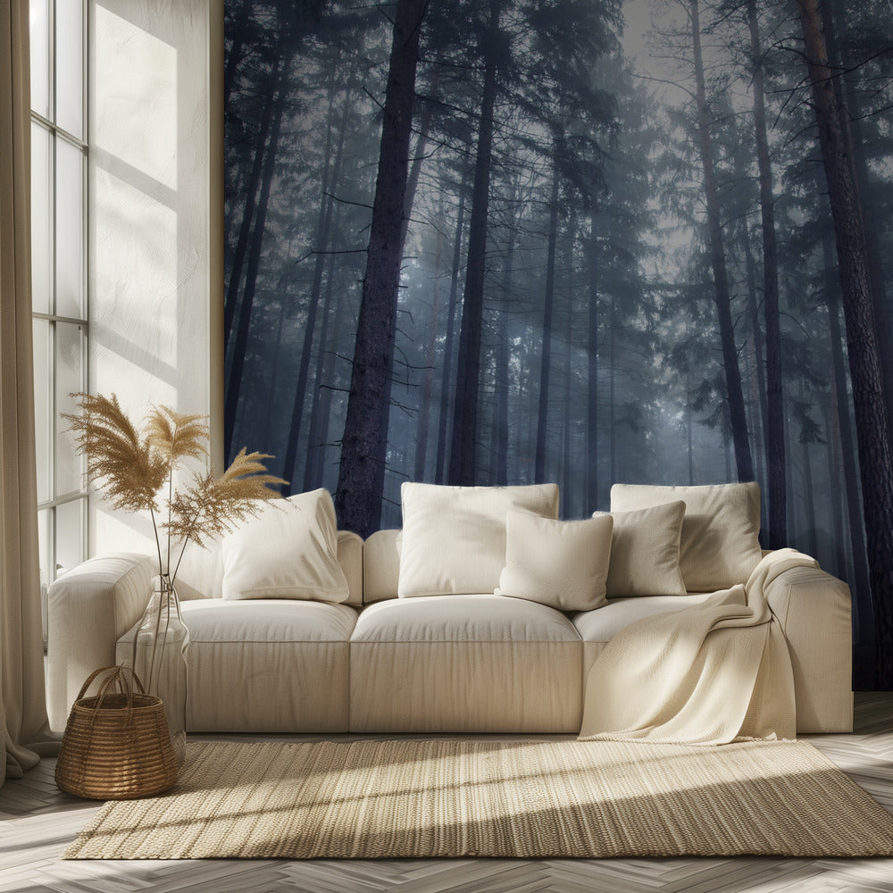 Mysterious foggy forest. | Wallpaper