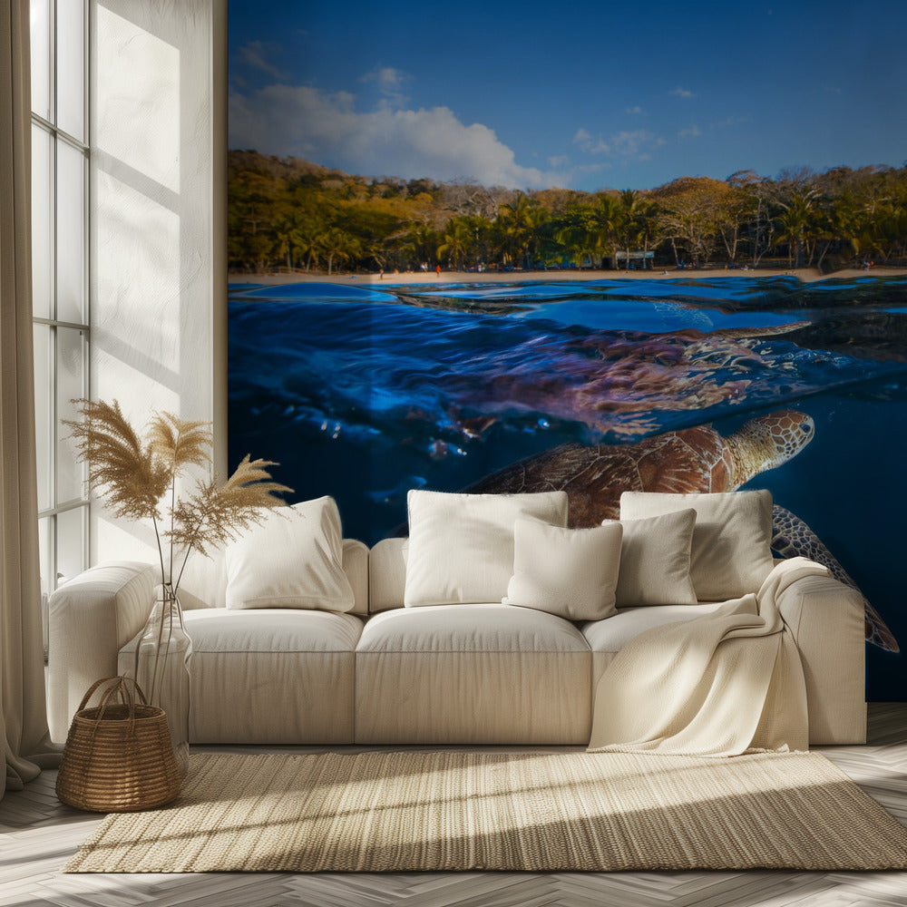 Green Turtle - Sea Turtle | Wallpaper