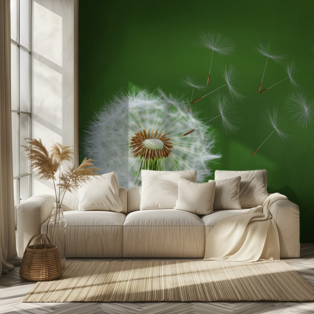 Dandelion Blowing | Wallpaper