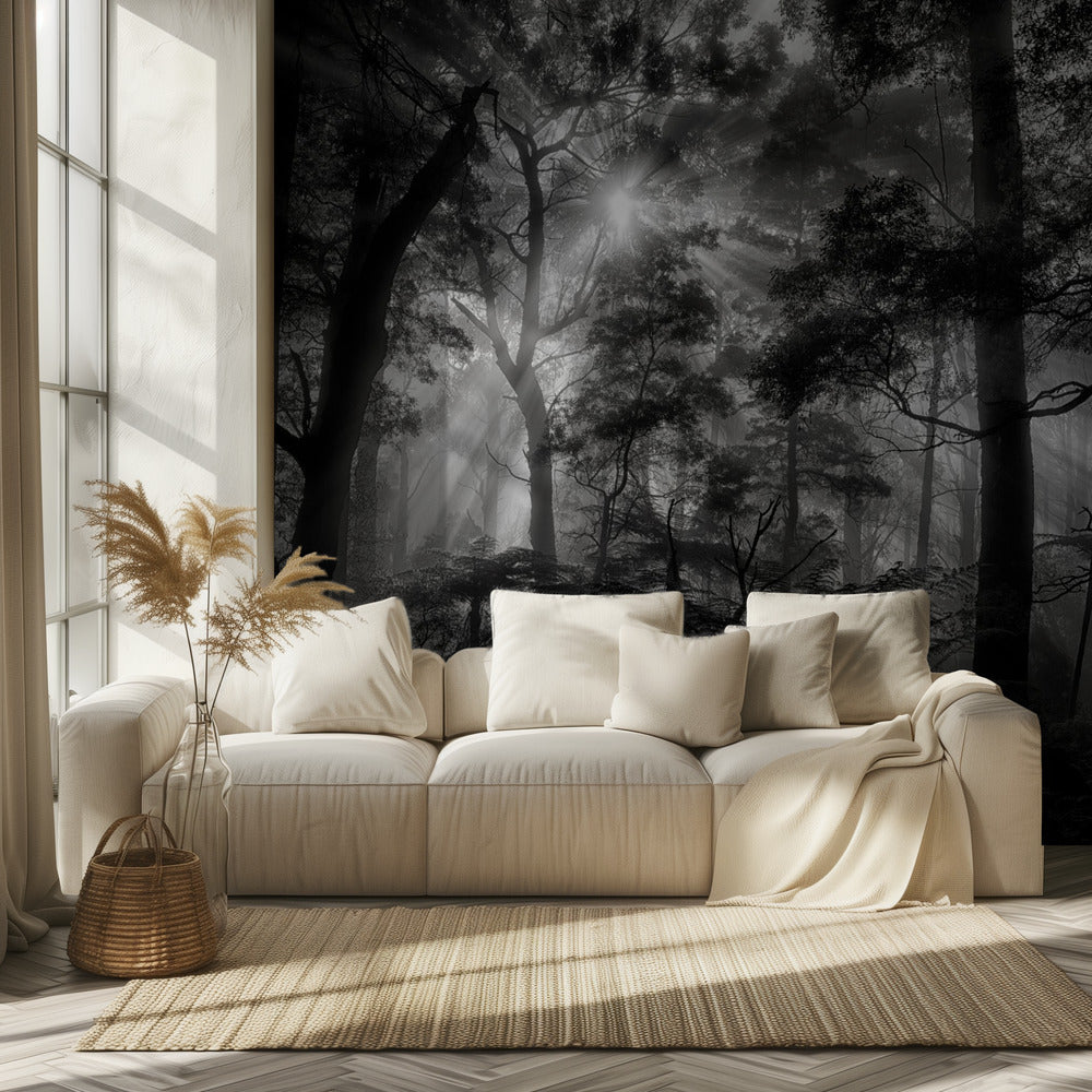 Primary forest | Wallpaper