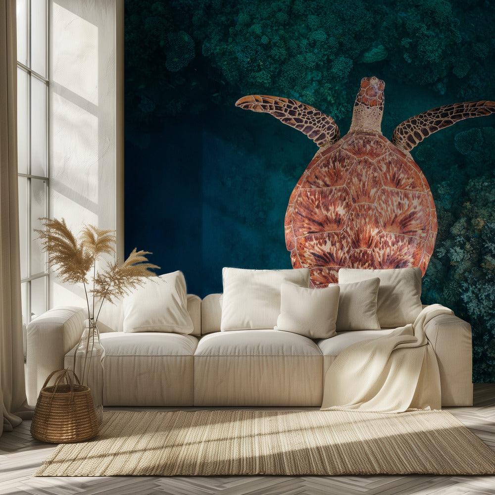 Flying over the reef | Wallpaper