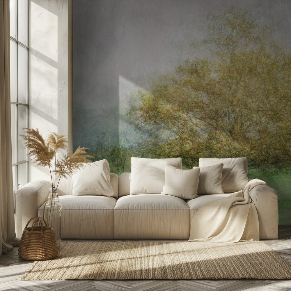 Solitaire | Wallpaper