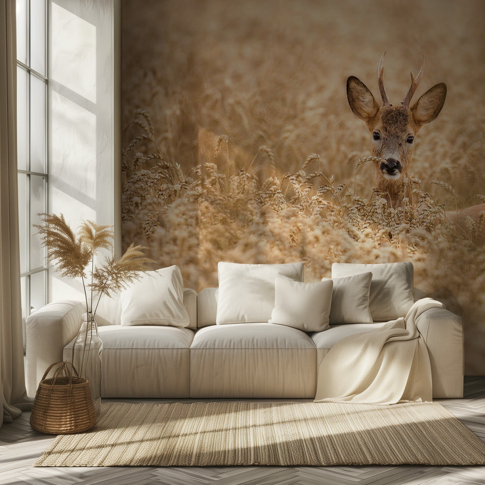 Deer in the field | Wallpaper