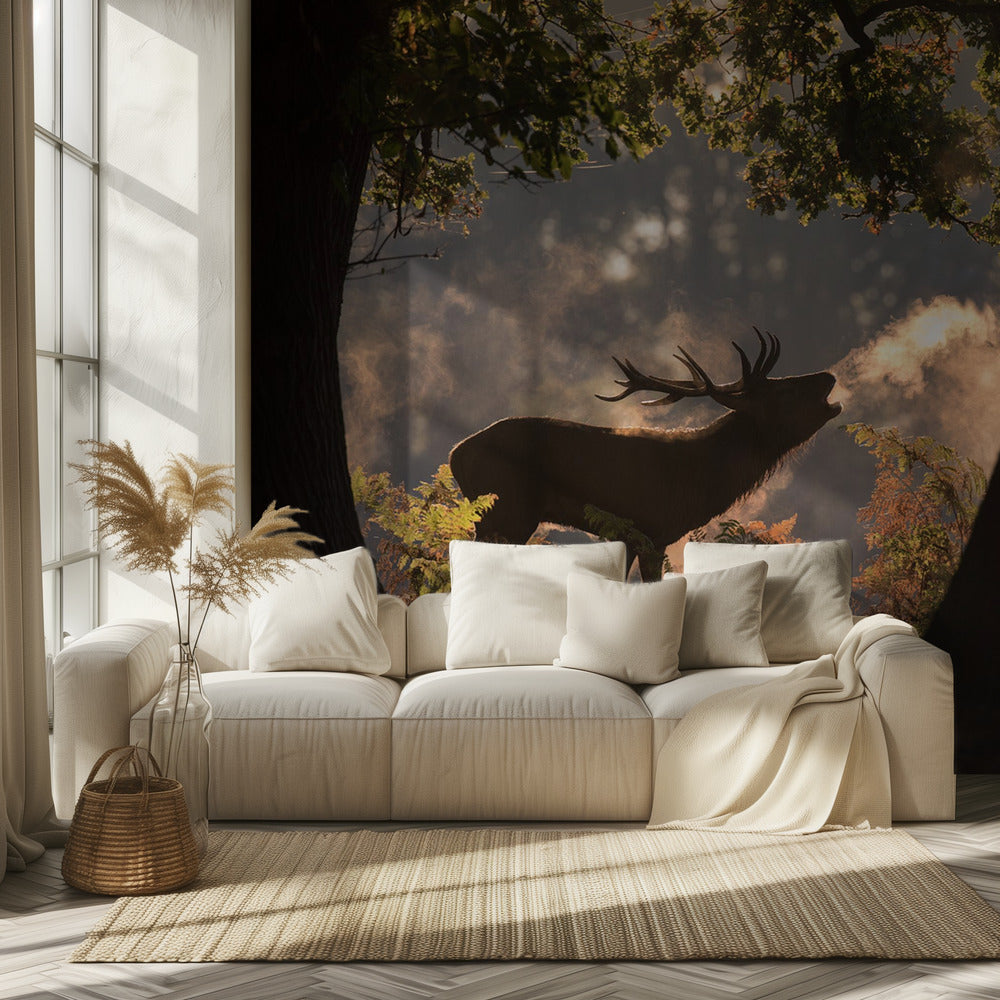 He Waits in the Shadows | Wallpaper