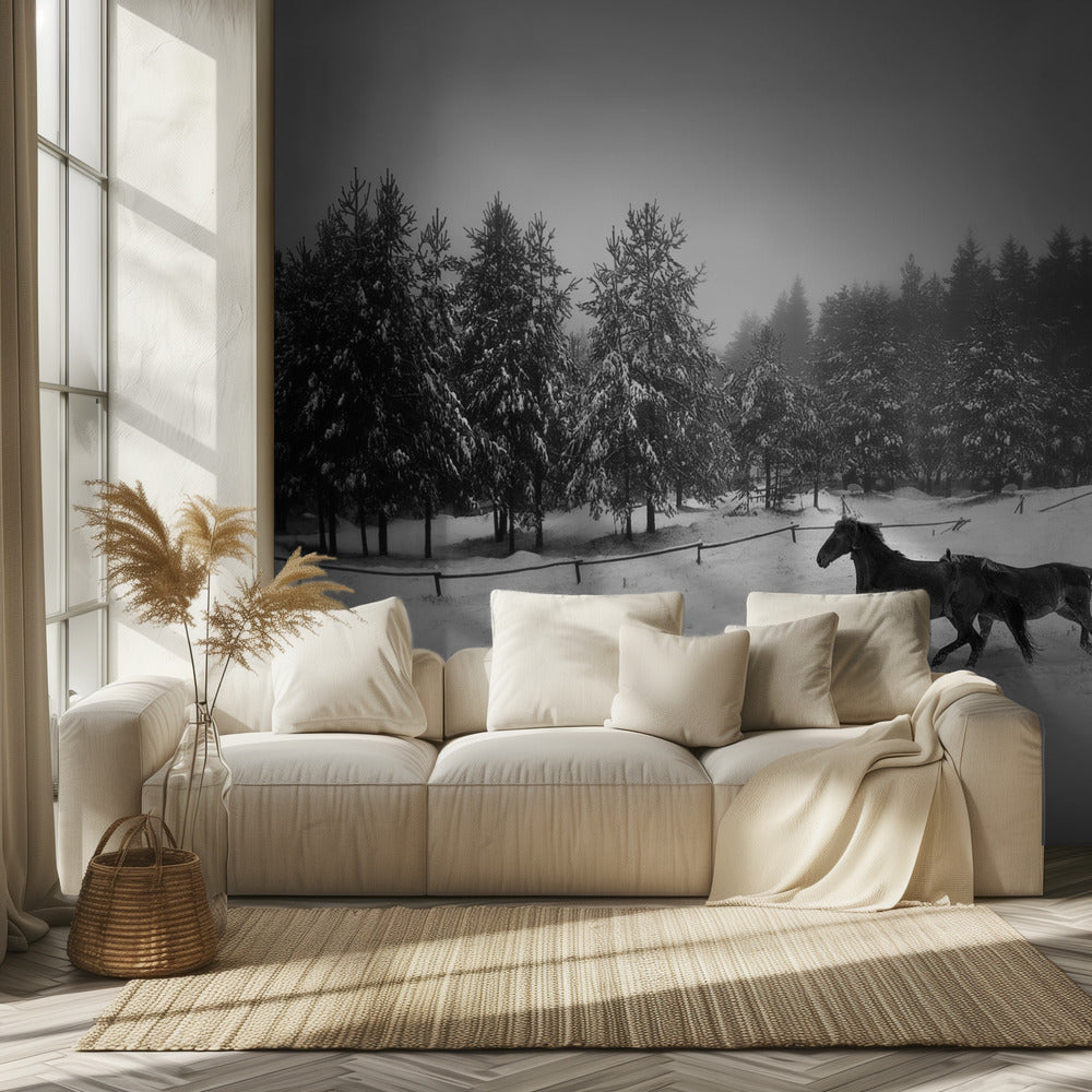 Untitled | Wallpaper