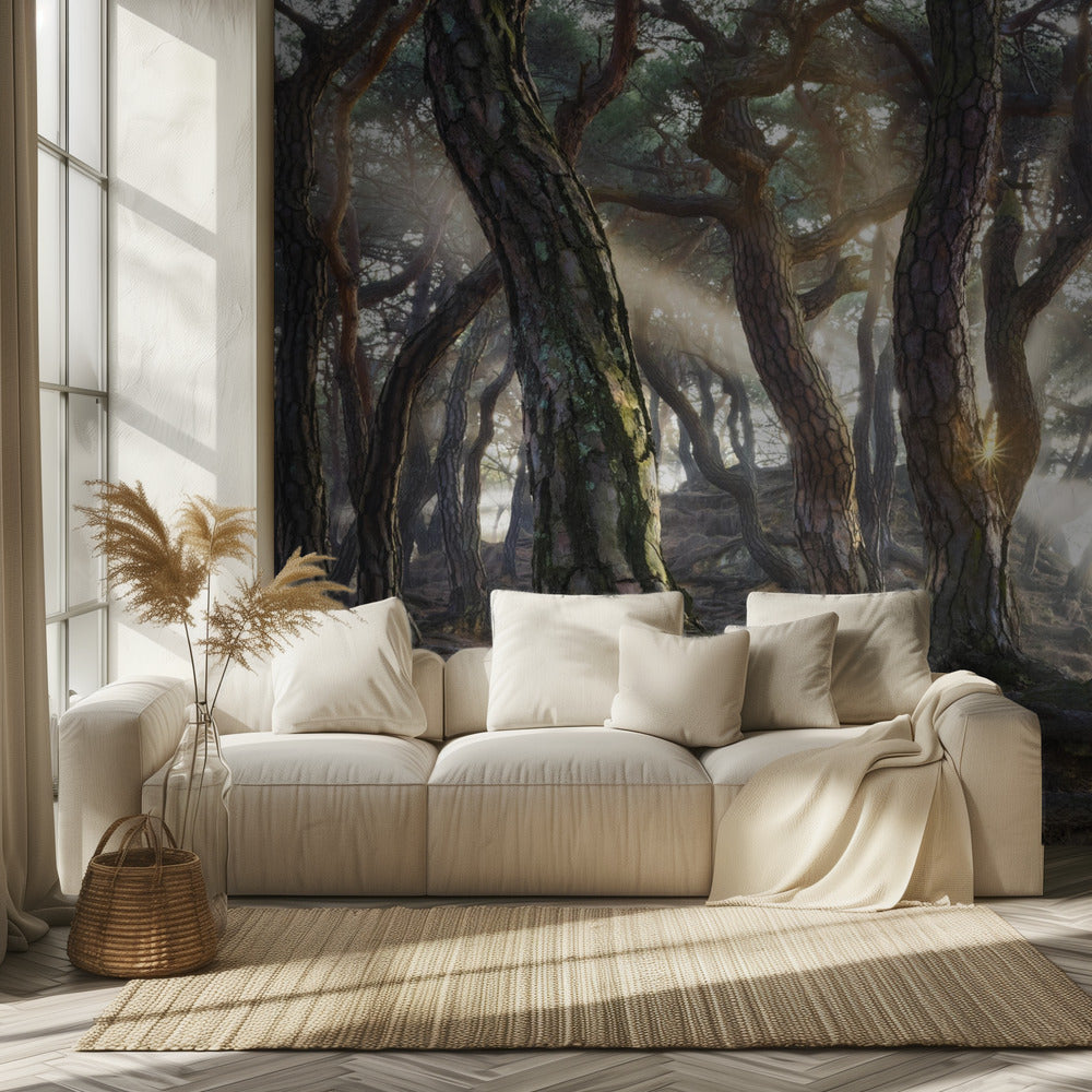 Sacred Pine Trees | Wallpaper