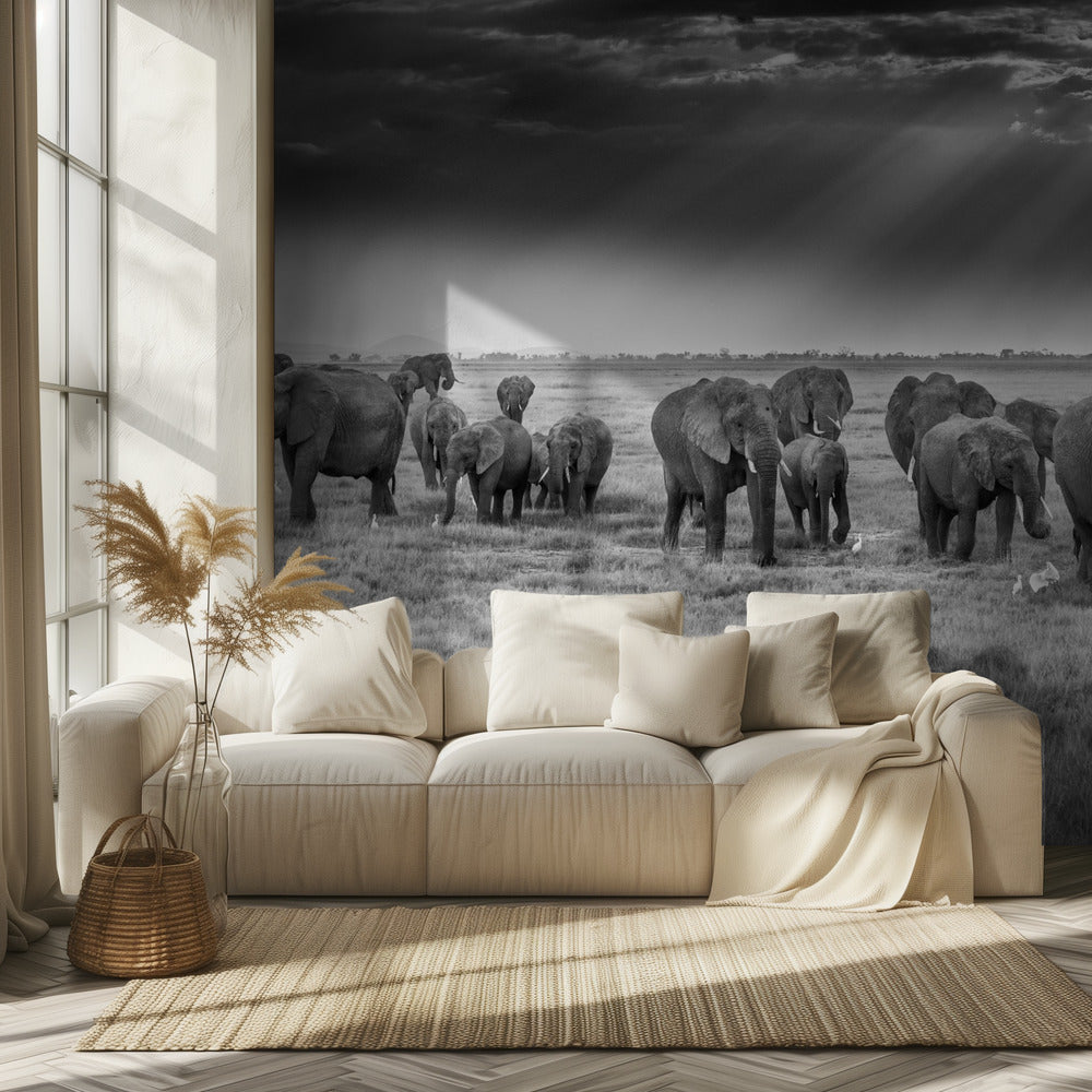 Breakfast with pachyderms | Wallpaper