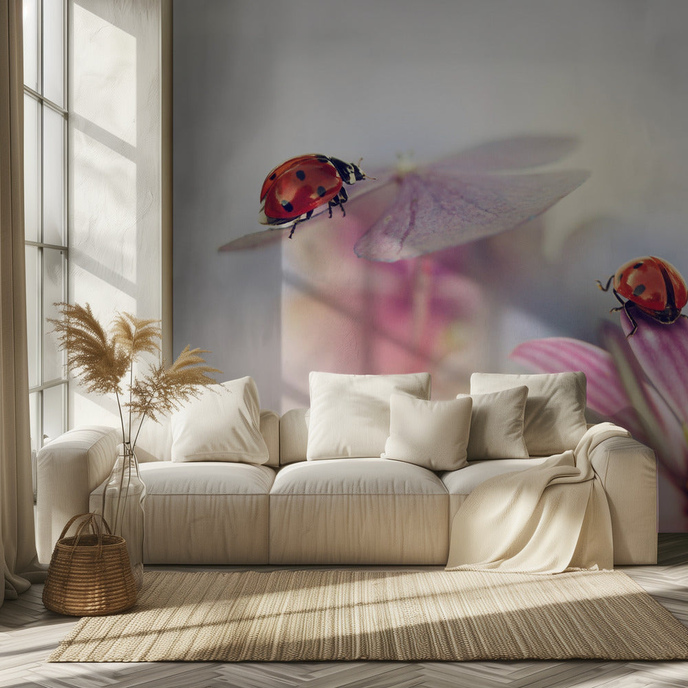 Last days of summer | Wallpaper