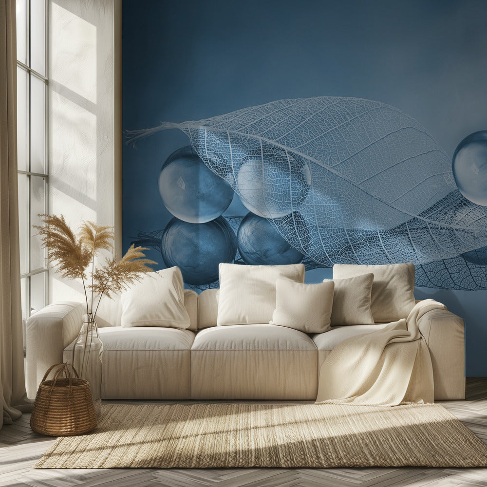 Dry leaf and Bubbles | Wallpaper