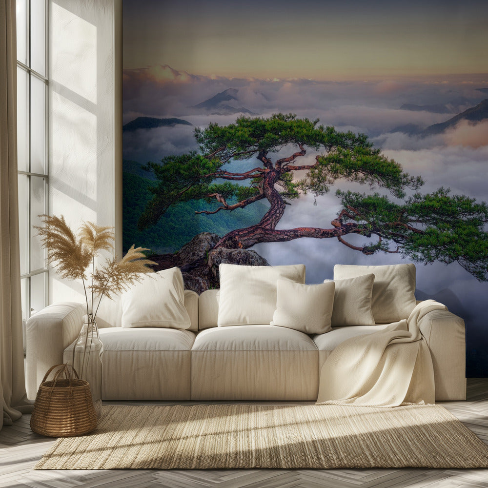 On the rock | Wallpaper