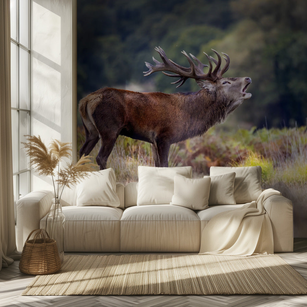 The scream of the deer | Wallpaper