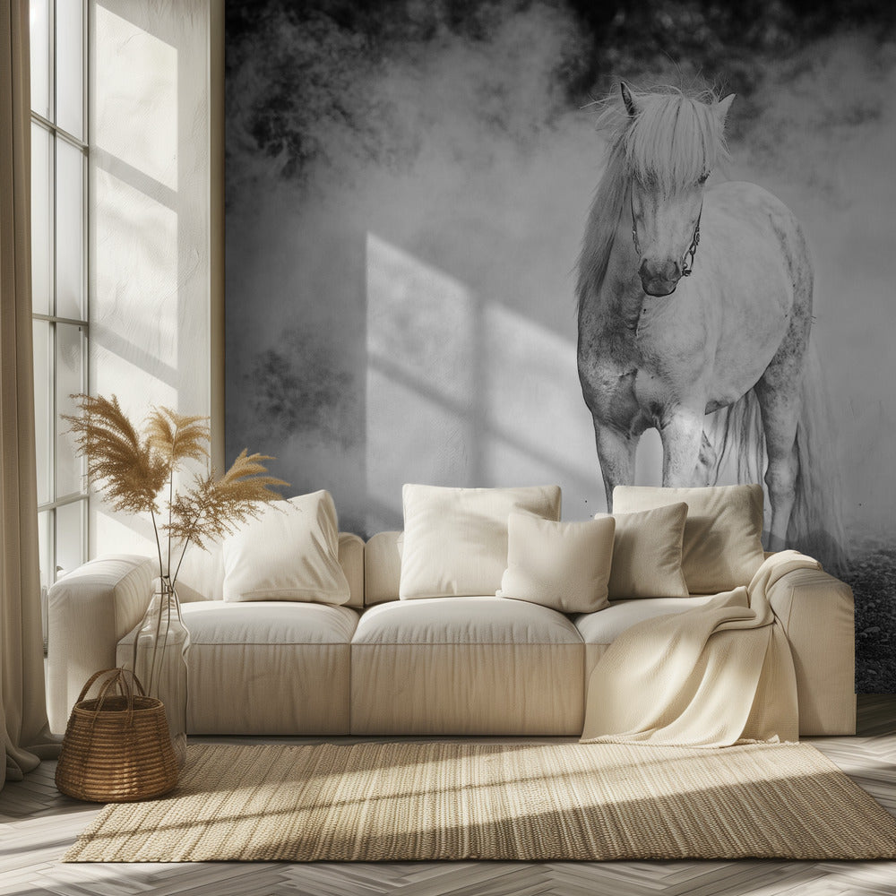Icelandic pony | Wallpaper