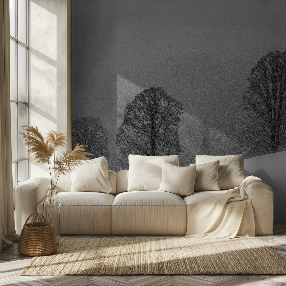 snow white | Wallpaper