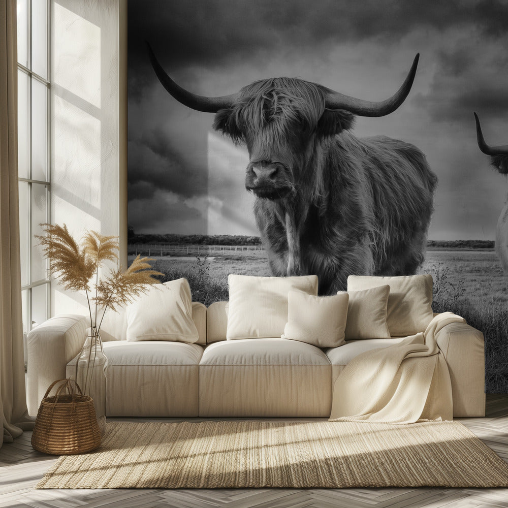 Highlands | Wallpaper