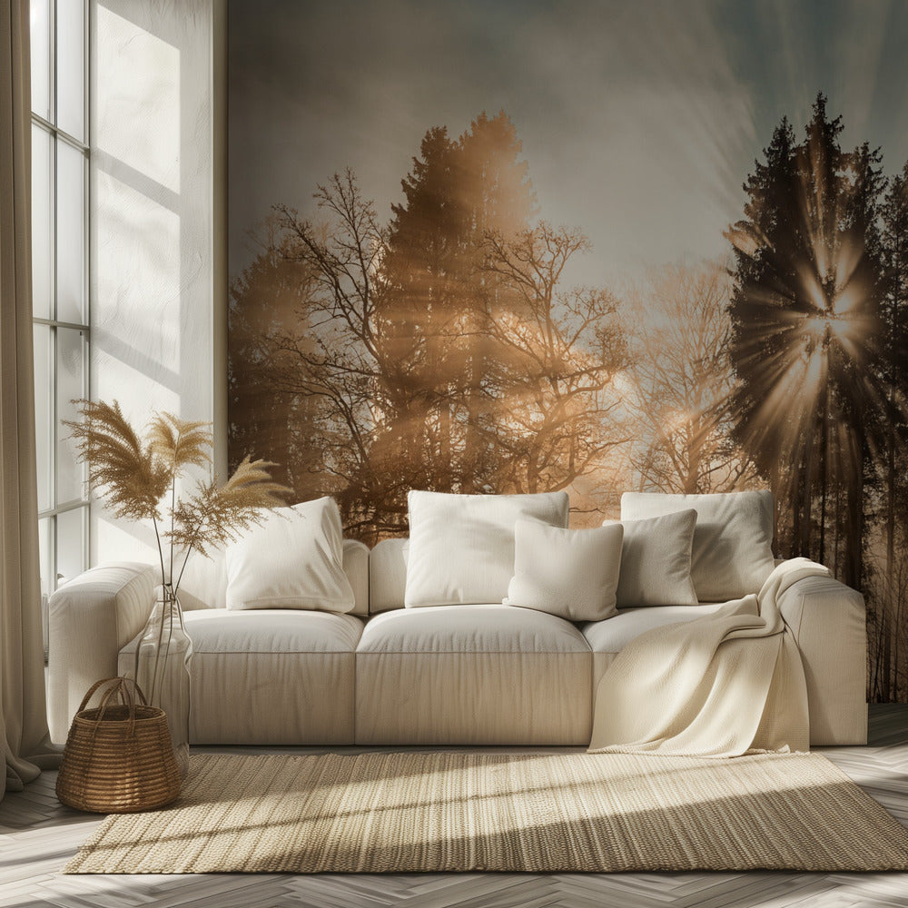 Fading away | Wallpaper