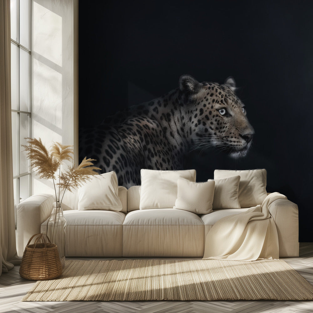 Imagination | Wallpaper