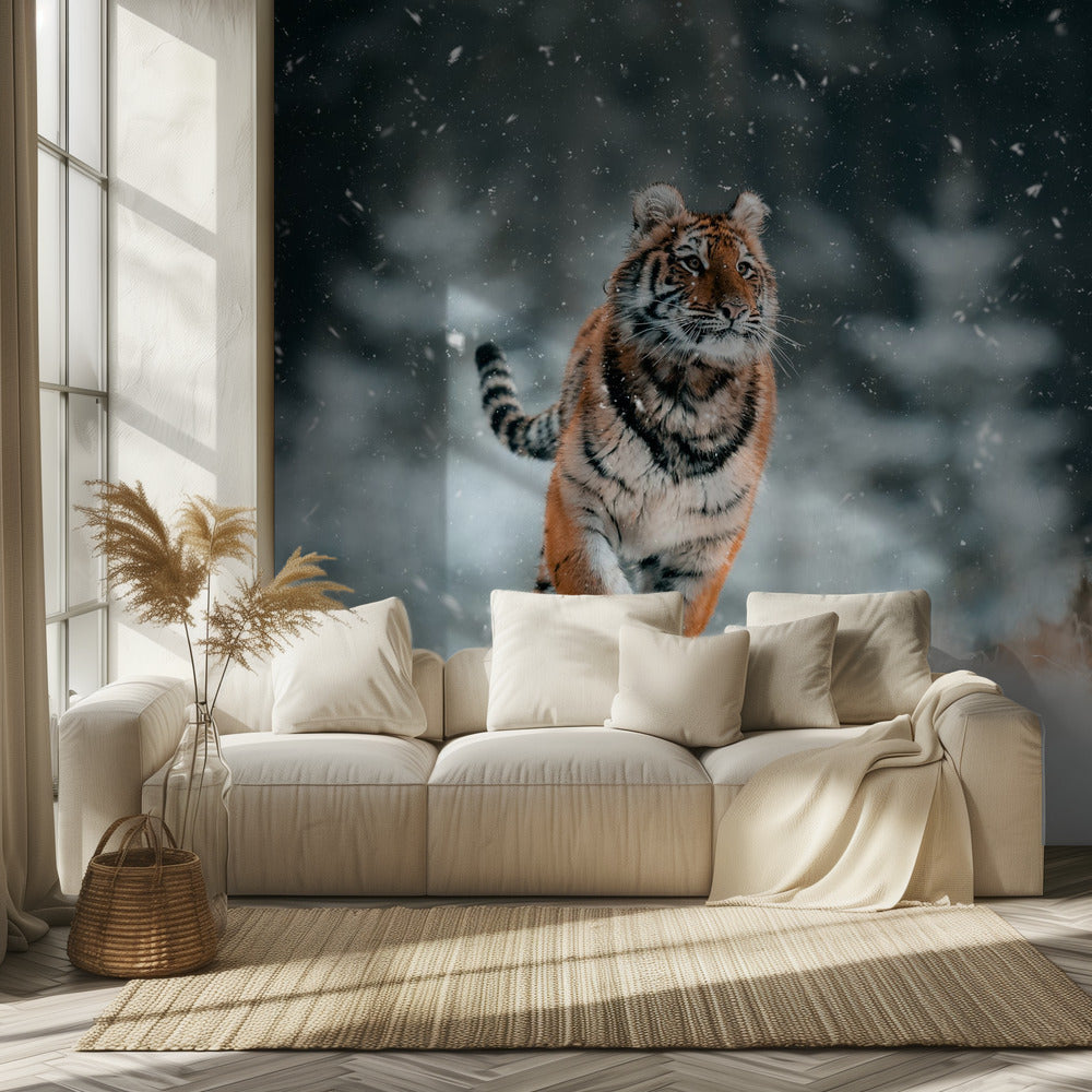 The Siberian tiger | Wallpaper