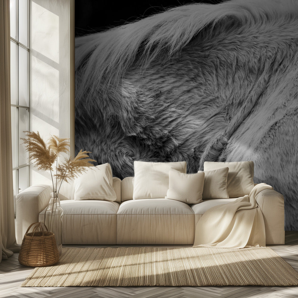 Horse II | Wallpaper