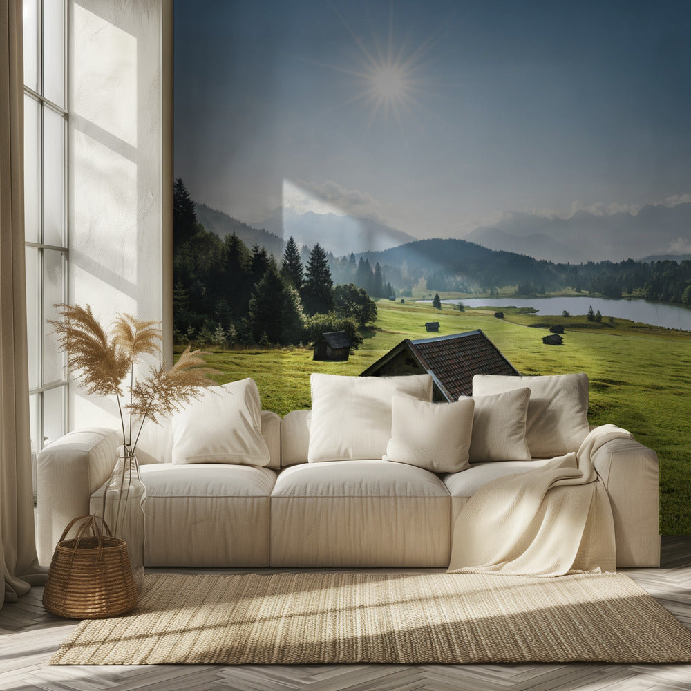 Summer Meadow | Wallpaper