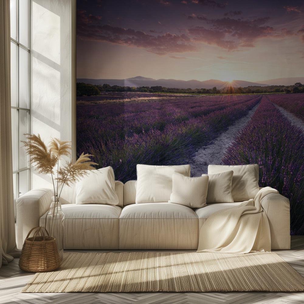 Purple Provence | Wallpaper