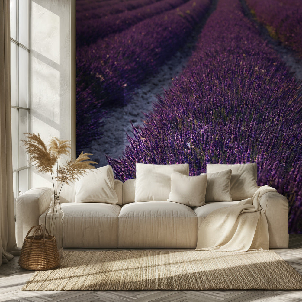 Lavender Detail | Wallpaper