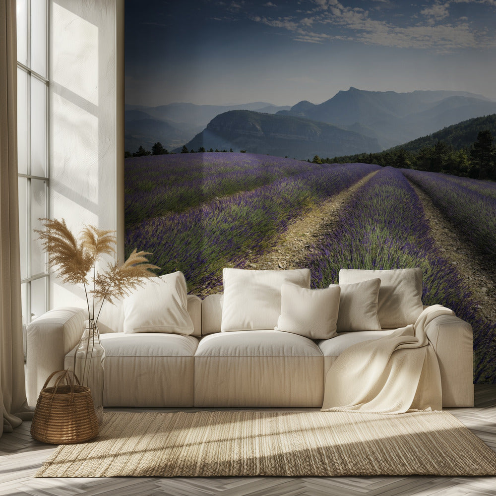 Lavender Hills | Wallpaper